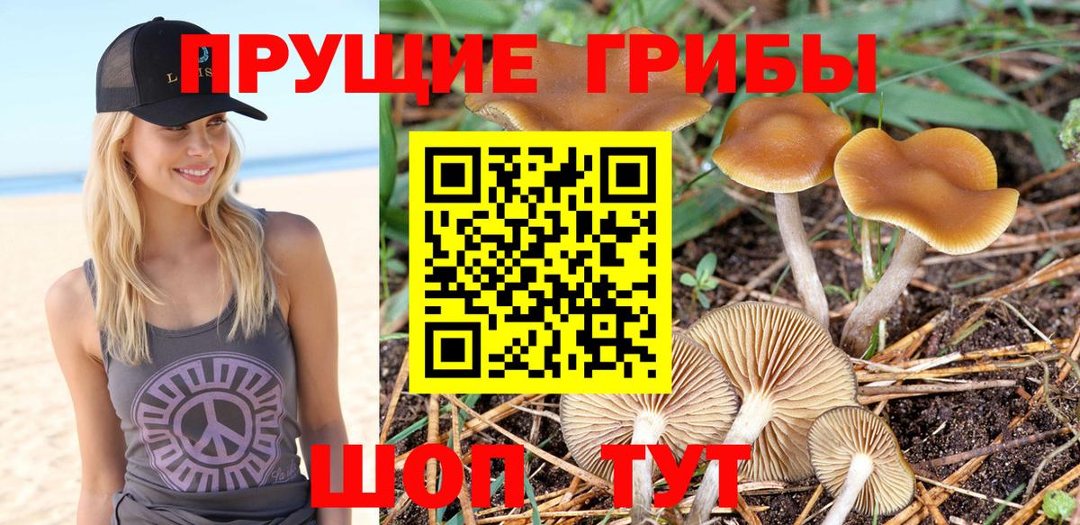 Галлюциногенные грибы мухоморы  продажа наркотиков  Калуга  Вход с VPN 