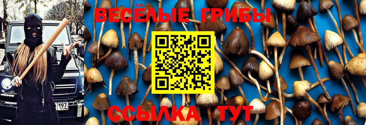 Галлюциногенные грибы мухоморы Калуга
